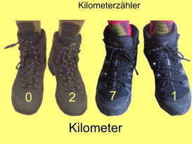 Kilometerzähler 2 7 1  0 Kilometer